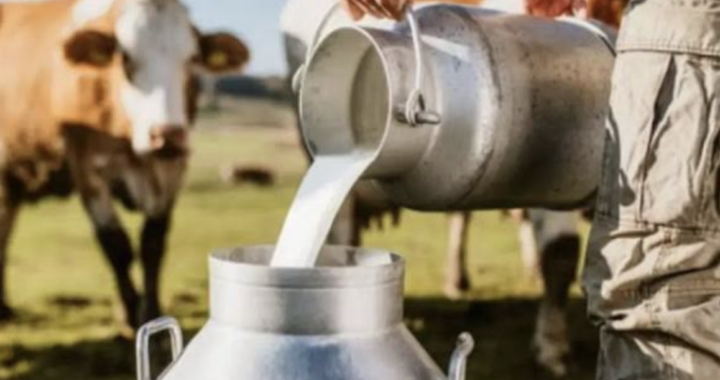 Hasta $200 millones para tambos: Provincia lanzan créditos para comprar vacas, mejorar instalaciones y sumar tecnología